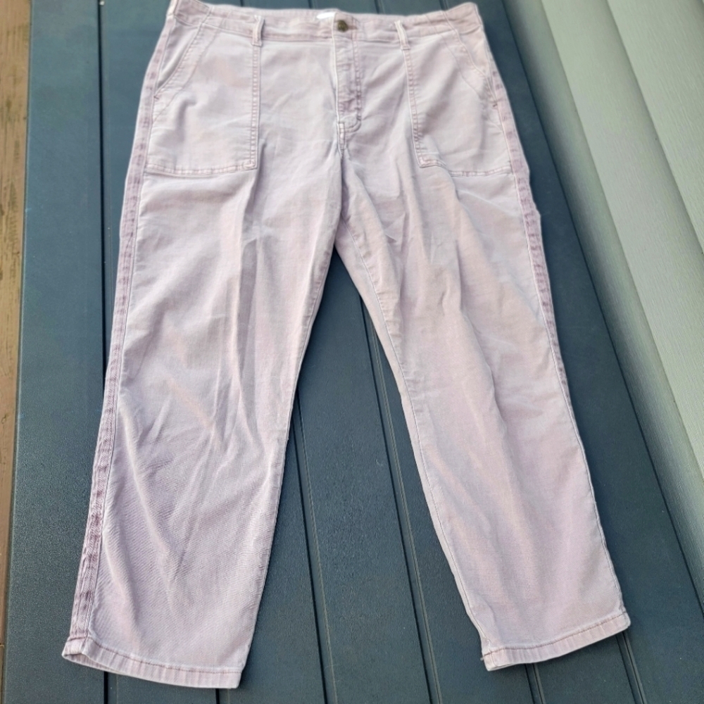 Anthropologie Pistola Mara Pants 33